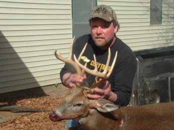 Deer Past