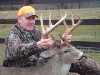 Deer Past