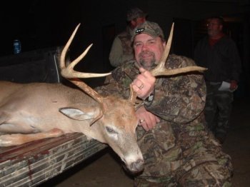 Deer Past