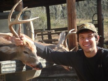 Deer Past