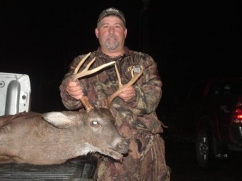 Deer Past