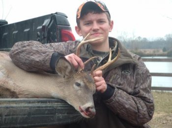 Deer Past