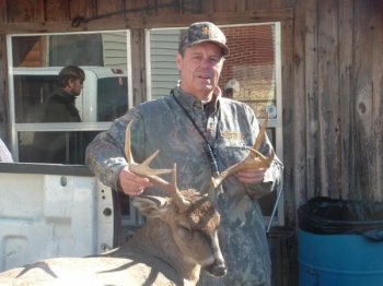 Deer Past