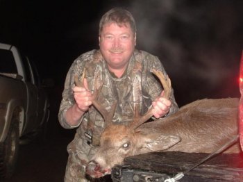 Deer Past