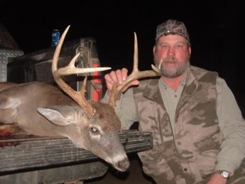 Deer Past