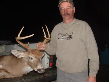 Deer Past
