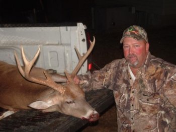 Deer Past