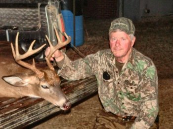 Deer Past