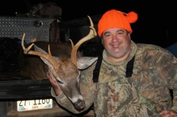 Deer Past