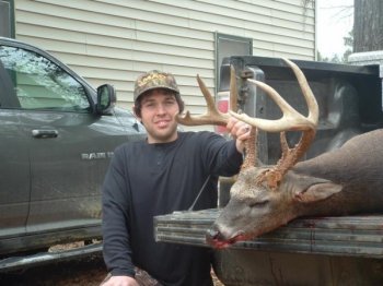 Deer Past