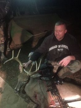 Deer Past