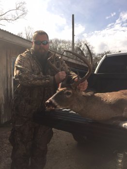 Deer Past