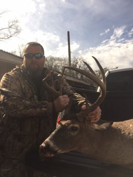 Deer Past