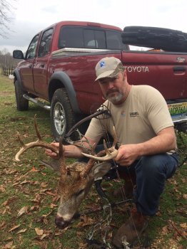 Deer Past