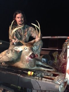 Deer Past