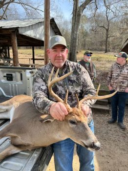 Deer Past
