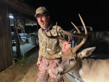 Deer Past