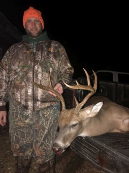 Deer Past