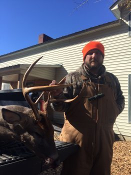 Deer Past