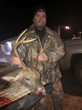 Deer Past