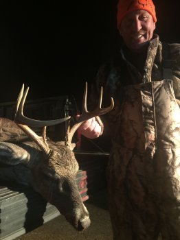 Deer Past
