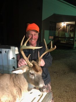 Deer Past