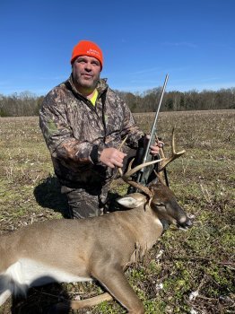 Deer Past
