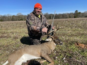 Deer Past