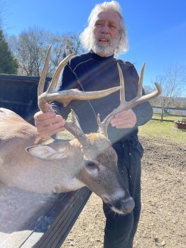 Deer Past