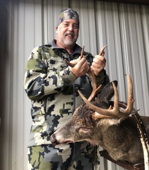 Deer Past