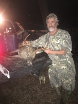 Deer Past
