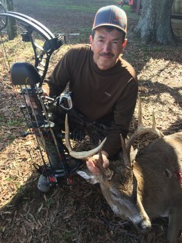 Deer Past