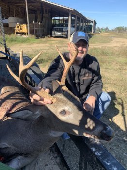 Deer Past