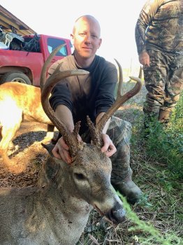 Deer Past