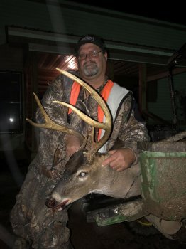 Deer Past