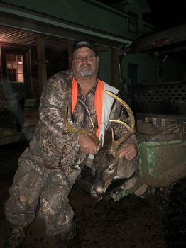 Deer Past