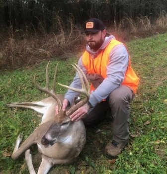 Deer Past