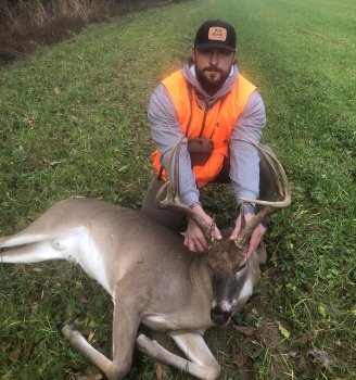 Deer Past