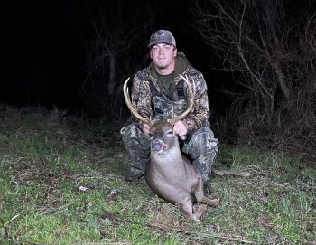 Deer Past