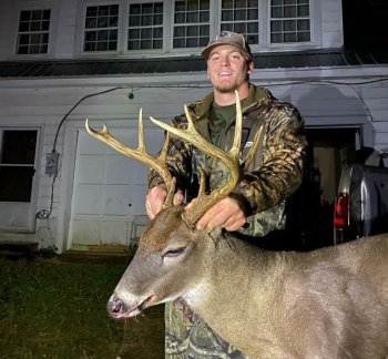 Deer Past