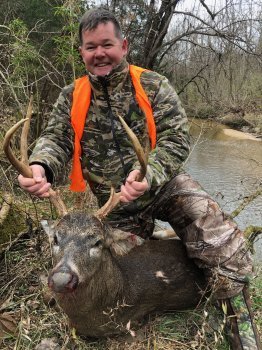 Deer Past