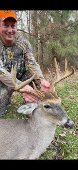 Deer Past