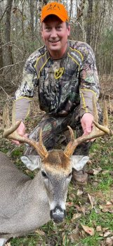 Deer Past