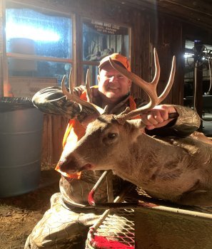 Deer Past