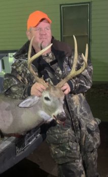 Deer Past