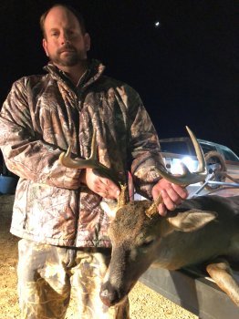 Deer Past