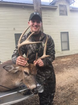Deer Past