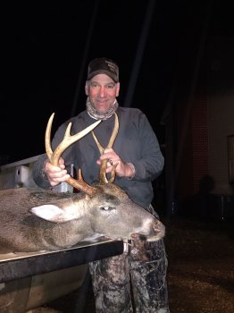 Deer Past