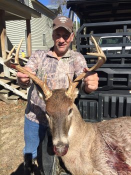 Deer Past