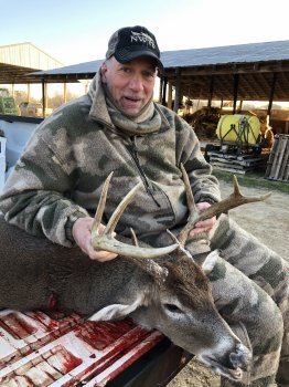 Deer Past